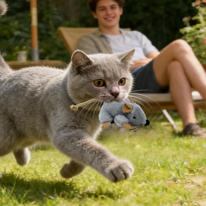 Cat Mouse Toy Built-in Sound  - MeowyFun