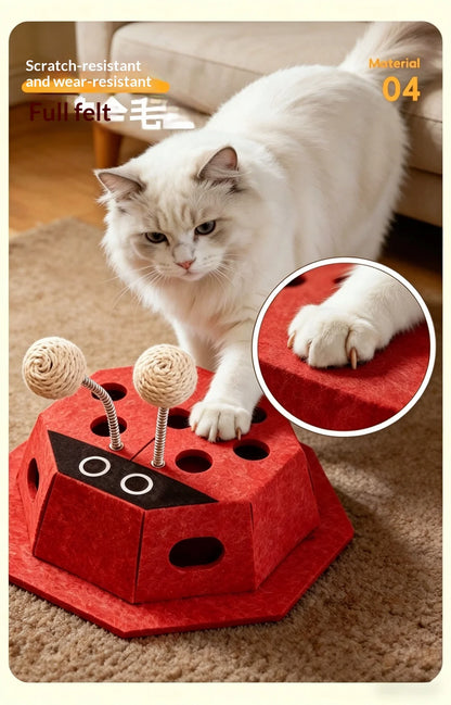 Cat toy Teaser ball  - MeowyFun