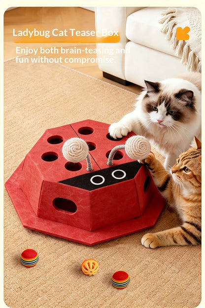 Cat toy Teaser ball  - MeowyFun