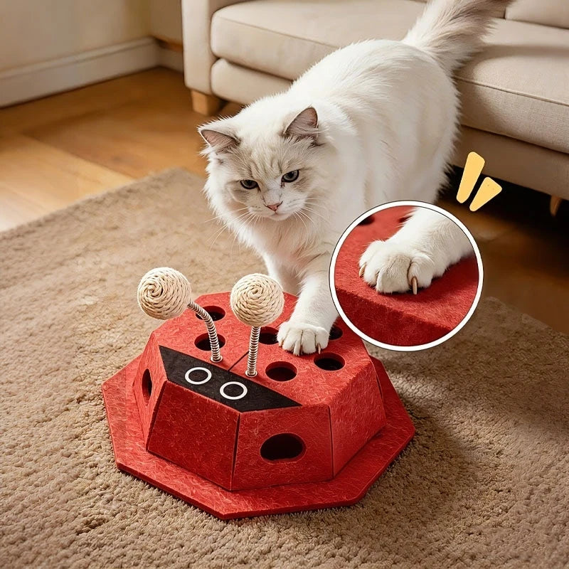 Cat toy Teaser ball  - MeowyFun