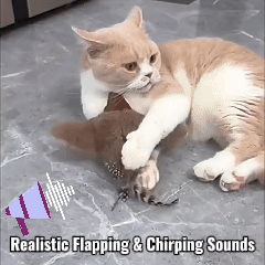 MeowyChaos Chirping Bird - Cat Toy with Catnip